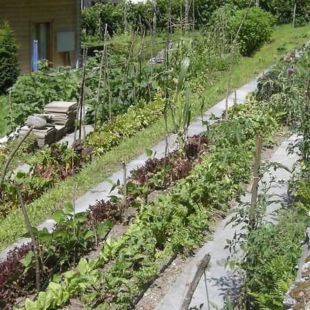 Eco-Hotel Cristallina Coglio Eksteriør bilde