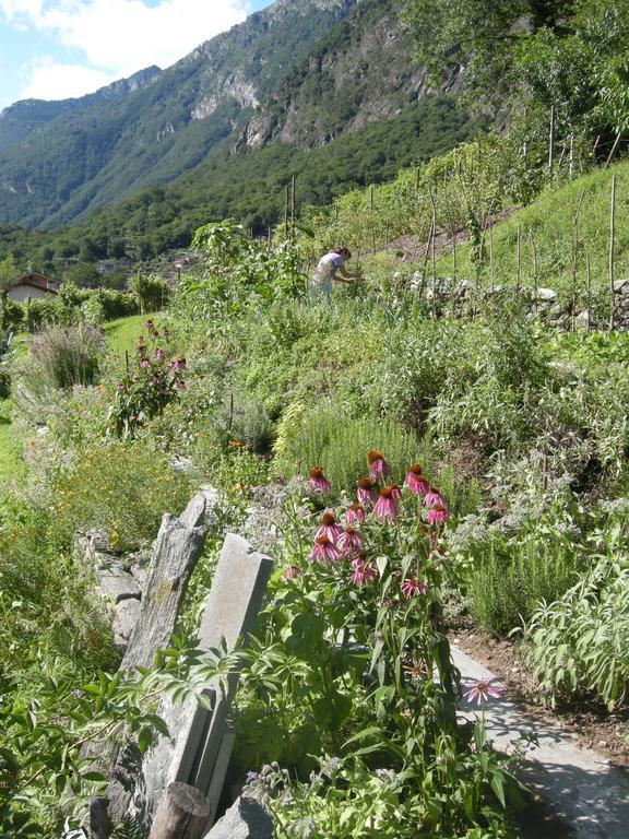 Eco-Hotel Cristallina Coglio Eksteriør bilde